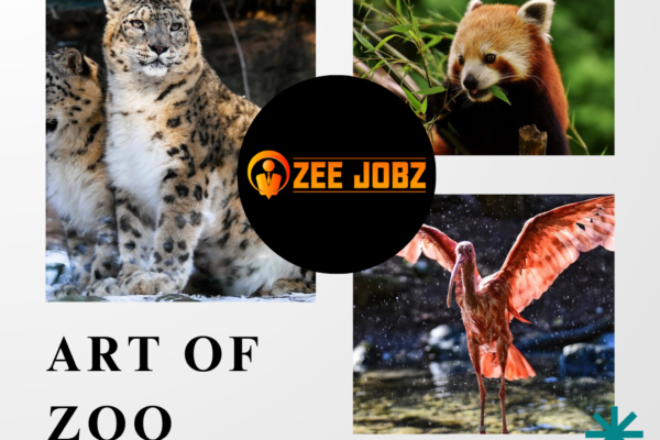 art of zoo