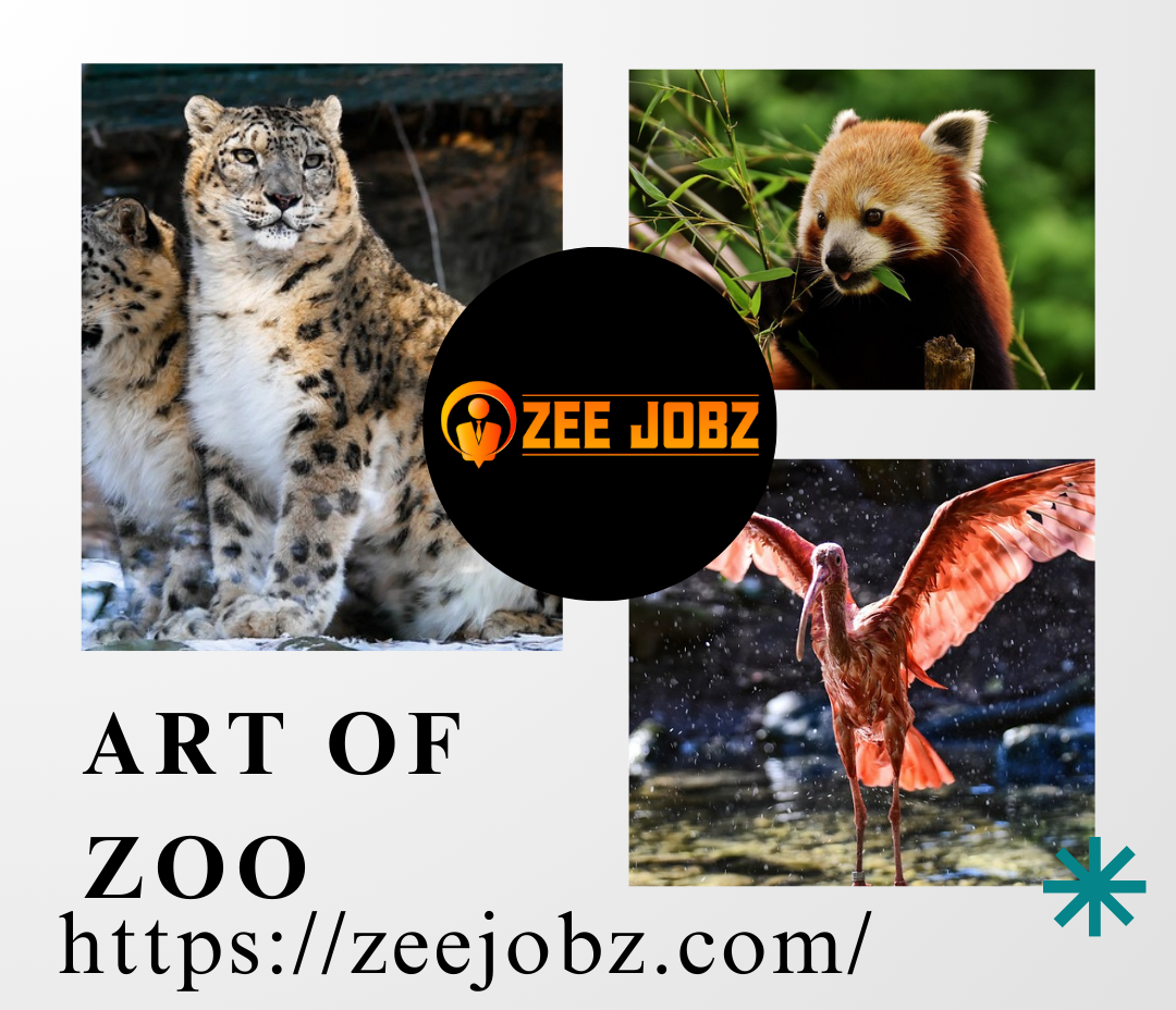 art of zoo